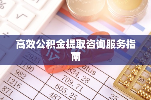 杉林高效公积金提取咨询服务指南