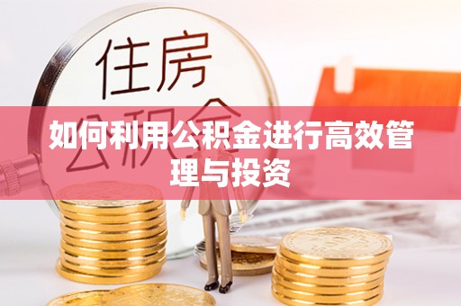 杉林如何利用公积金进行高效管理与投资