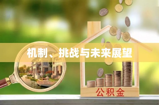 杉林机制、挑战与未来展望